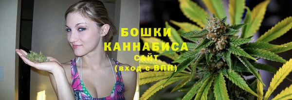сатива Белоозёрский