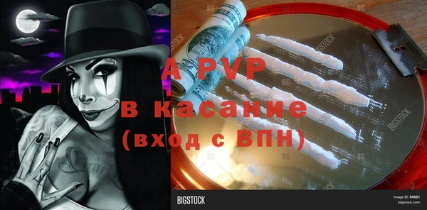 сатива Белоозёрский